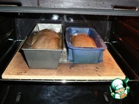 ���������� �������� ���� �����������