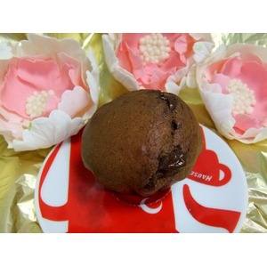 ���������� ������� "����������"