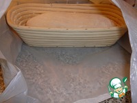 �������� ������ ���� �� �������� �����������