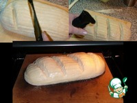 �������� ������ ���� �� �������� �����������