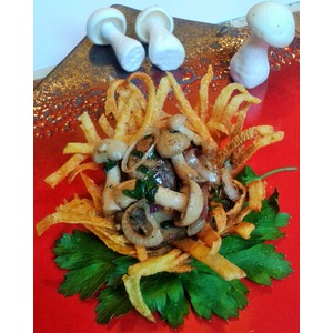 ������������ �������� � �������