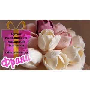 ����� �������� �� �������� �������