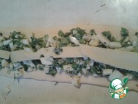 ����� � ������� �����������