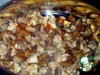 ������ ������� � �������� �����������