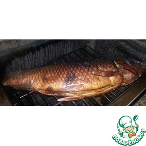 �������� ����