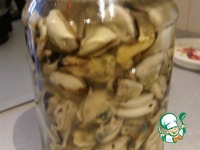 ������������ ����� �����������