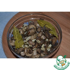 ������������ �����