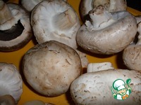 ������� � ������� ������ �����������