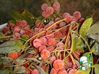 ������ �� ������ ������������ �����������