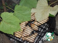 ����-������� � "��������" �����������