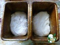 ����� ���� ��� ����������� �����������