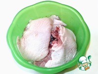 ������������������ ������� � ����� �����������