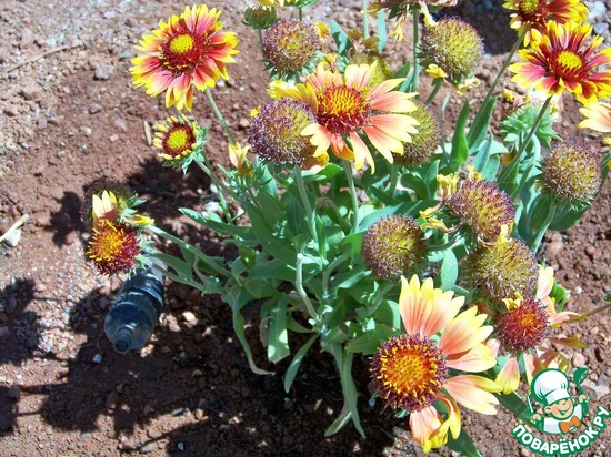 ����� �� ��� ������� � �� ������