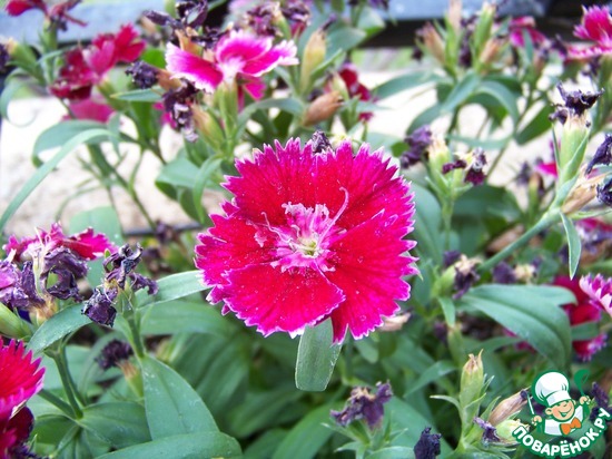 ����� �� ��� ������� � �� ������