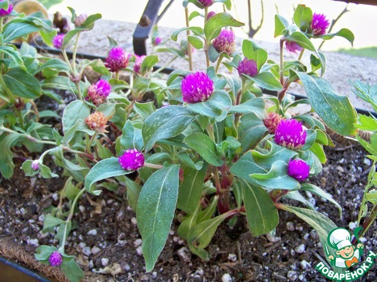 ����� �� ��� ������� � �� ������