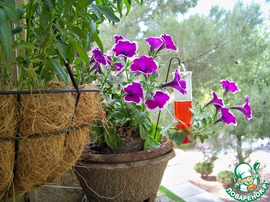 ����� �� ��� ������� � �� ������