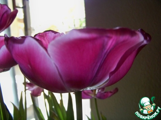 ����� �� ��� ������� � �� ������