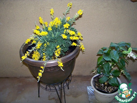 ����� �� ��� ������� � �� ������