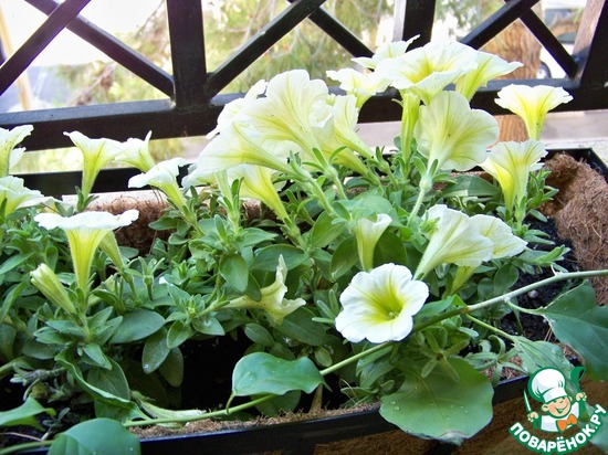 ����� �� ��� ������� � �� ������