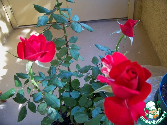 ����� �� ��� ������� � �� ������