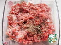 ��������-������ �������� � ������� ���������� �����������