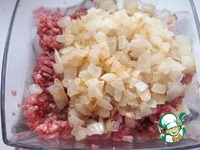 ��������-������ �������� � ������� ���������� �����������