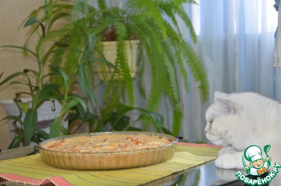 ��������������� �������� �����