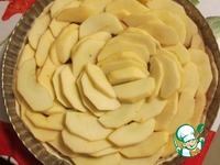 �������-���������� ����� �����������