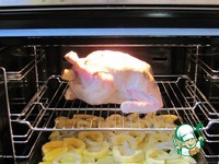 ������ ������ "��-������" �����������