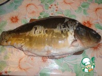 ������������� ���� "��-����������" �����������