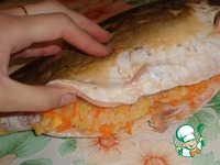 ������������� ���� "��-����������" �����������