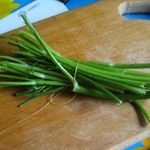 ���� ������ ������� ������ ������