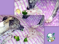 ������� �� ������� �����������