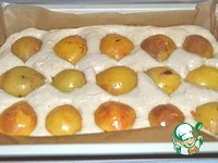 ����� � ������� �����������