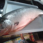 ���� ����-����� ����