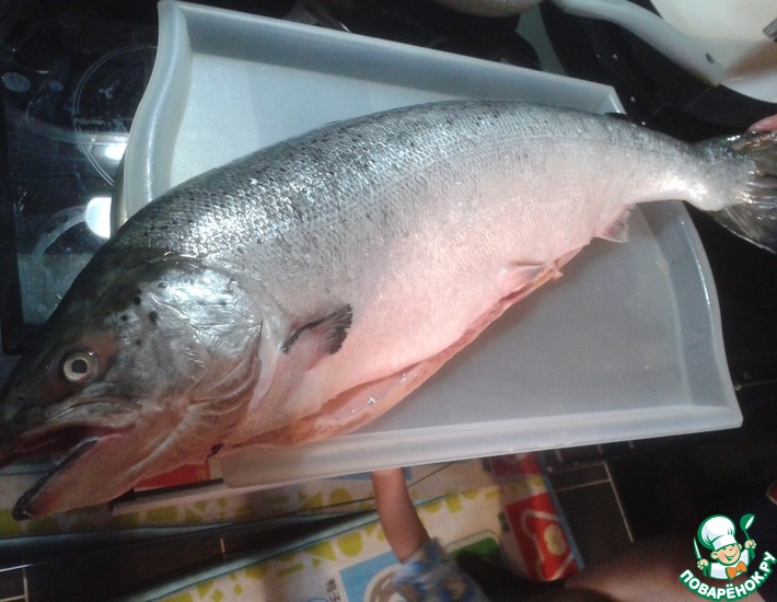 ���� ����-����� ����