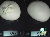 ����� �������� �� ����� �� �������� �����������