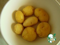 ������������ ������ � ��������� �����������