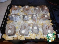 ���� � ���������, ���������� � ������� �����������