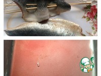 ������ �� ������� � �������� �������� ���� �����������