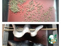 ������ �� ������� � �������� �������� ���� �����������