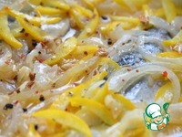 �������� � ������������ �������� � ����� �����������