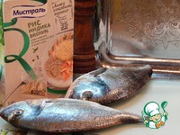 "���� � ����" �����������