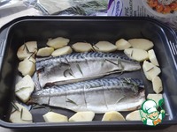 �������� � ����������� ������� � �������� �����������