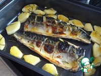 �������� � ����������� ������� � �������� �����������