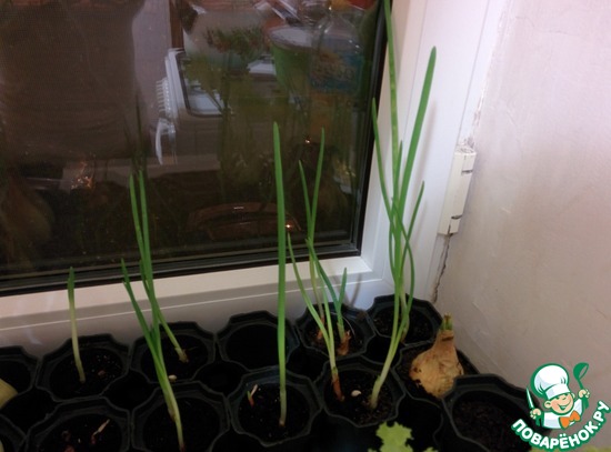 �������� �����)