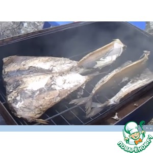 �������� ��������