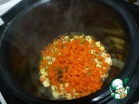 ������ � ����������� �����������