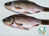 ������� ������ � ������� � ����� �����������