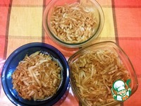 ������� ��������-��������� � ������������� �����������